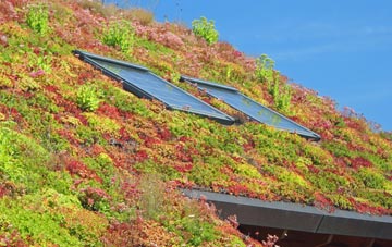 Cockden living roof systems